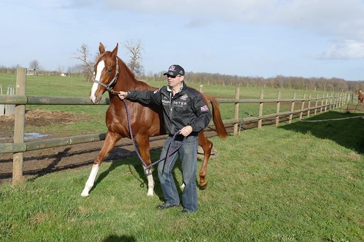 1512 Retour de Blue Sascha au Haras des Petits Champs