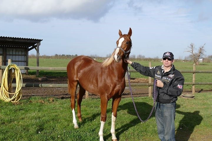 1512 Retour de Blue Sascha au Haras des Petits Champs