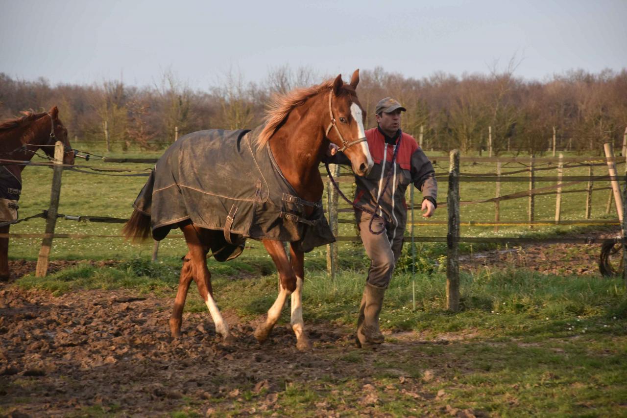 1602 Christophe rentre Blue Sascha au box pour la nuit