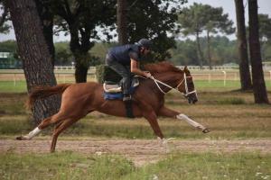 1608 blue sascha chez lemer 01