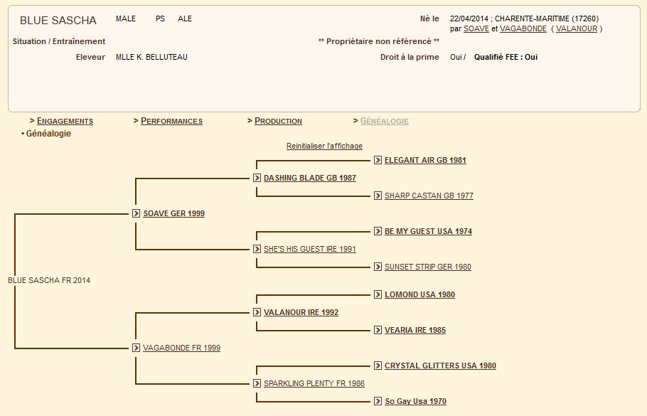 Presentation genealogie blue sascha